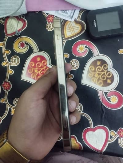 Apple iPhone 12 Pro