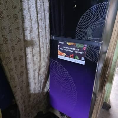 Hair Fridge Model 346 Digital Inverter Glass Door