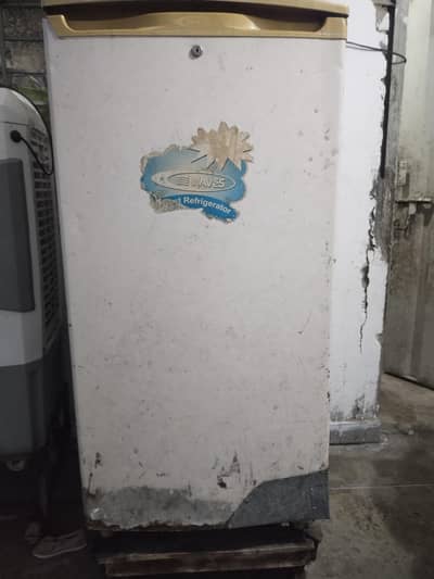 waves Fridage