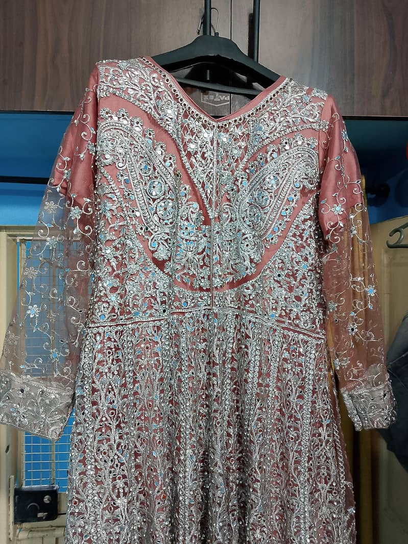 medium size 1