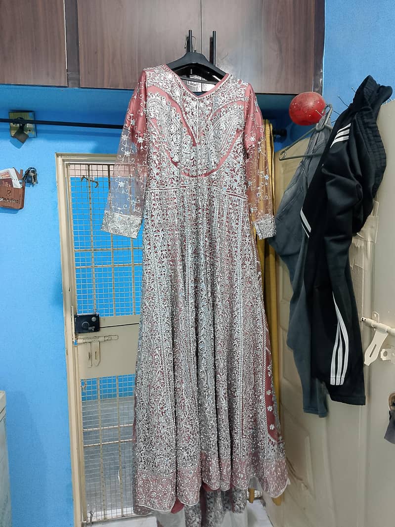 medium size 2
