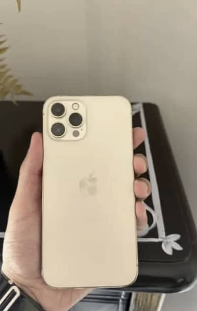 Apple iPhone 12 Pro Max