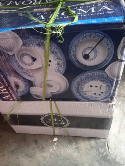 two new dinner set fine bone and plastic
