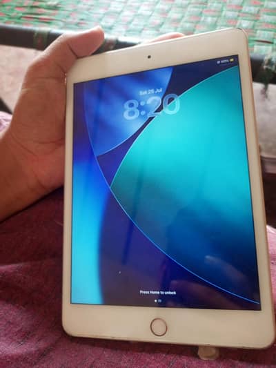Ipad mini 5 | With Cooling Fan & Cooling plate