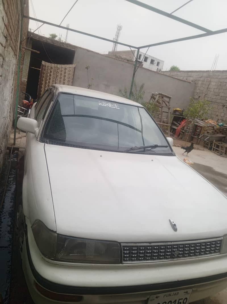 carolla 1