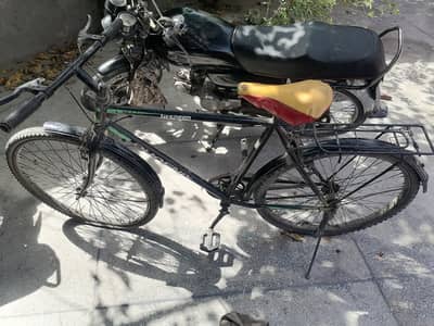Phoenix cycle 10/8