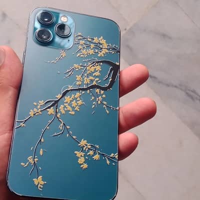 Apple iPhone 12 Pro Max