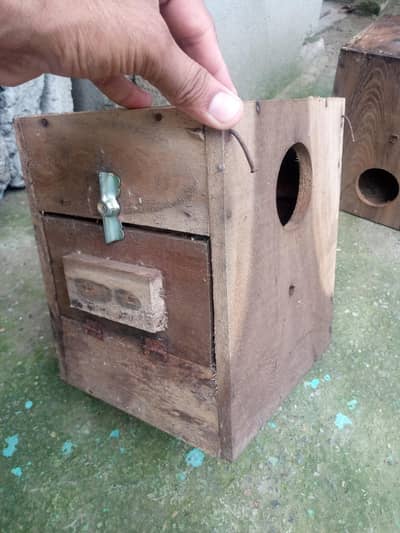 breeding box