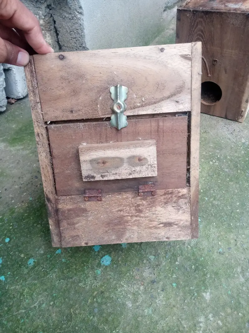 breeding box — photo 2