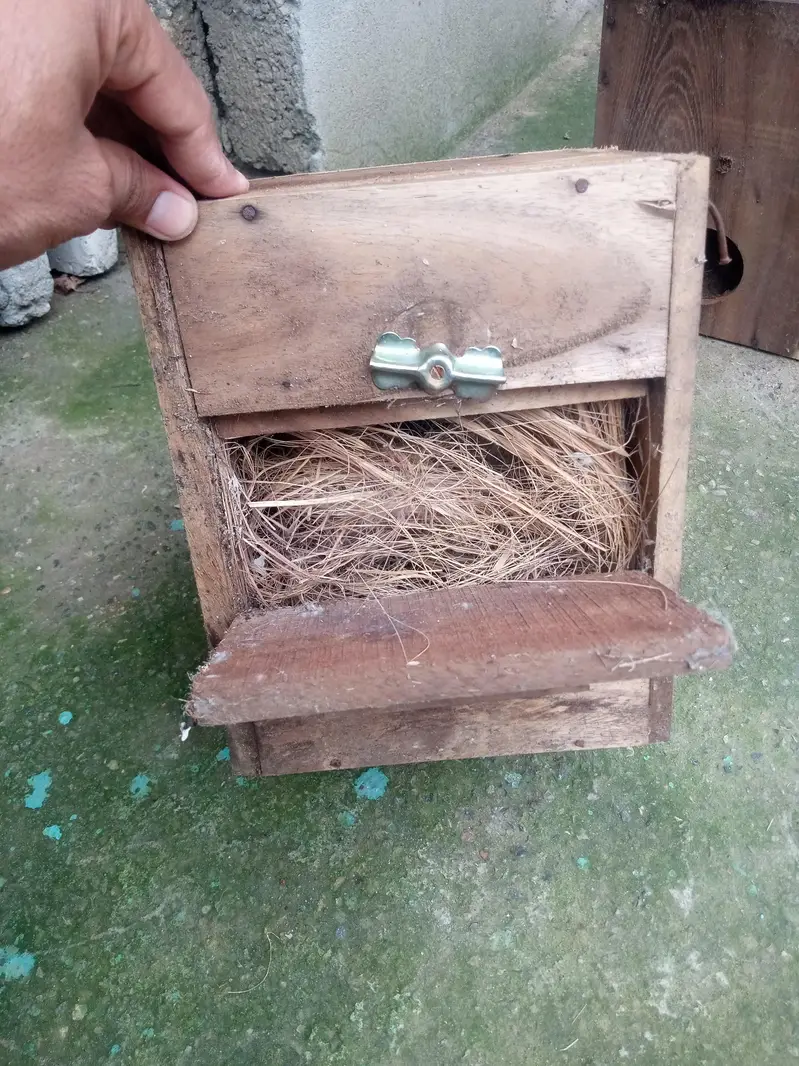 breeding box — photo 3