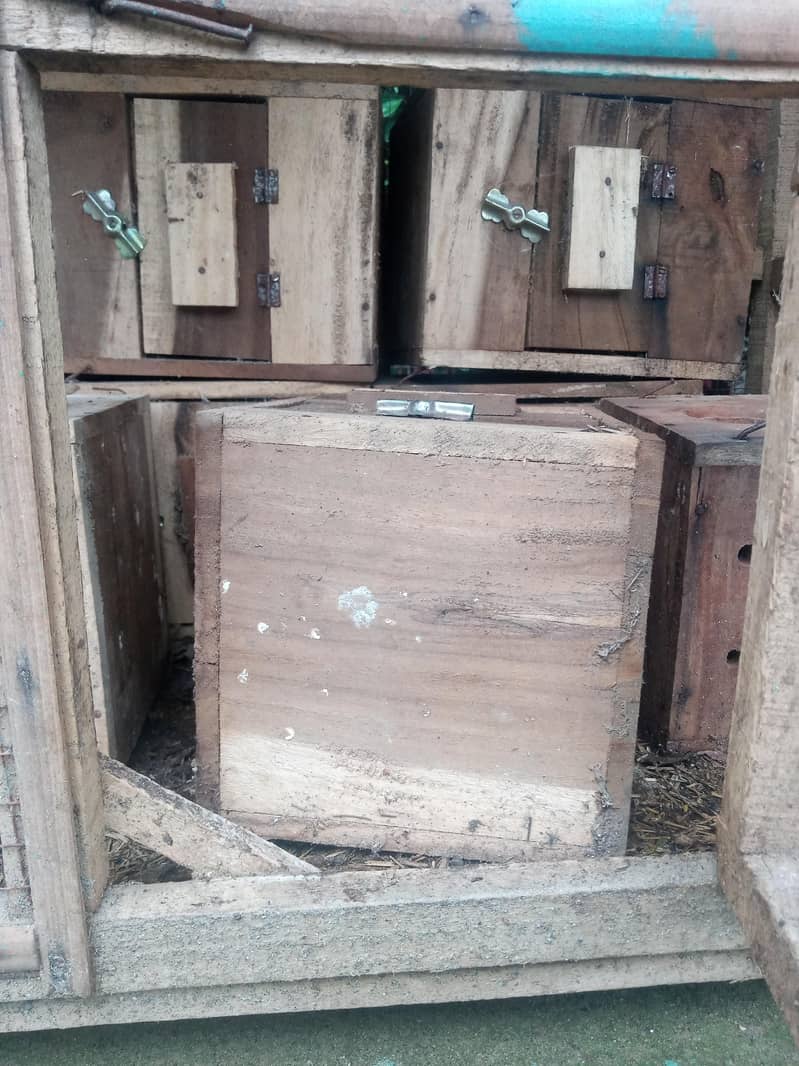 breeding box 3