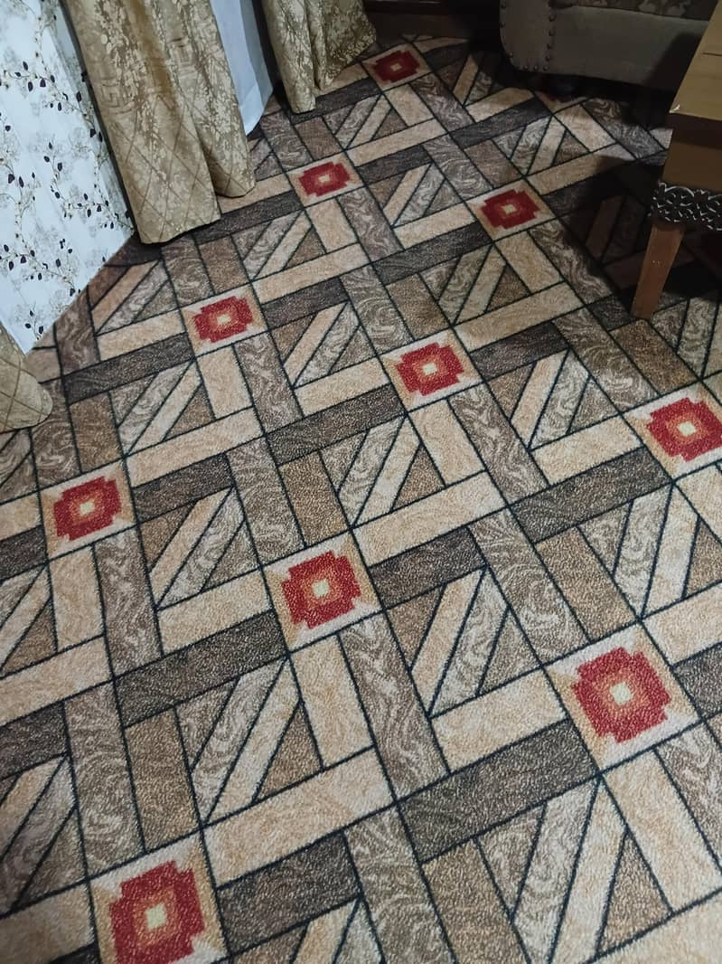 CARPET 0