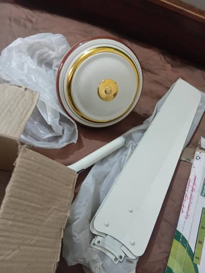 pak fan