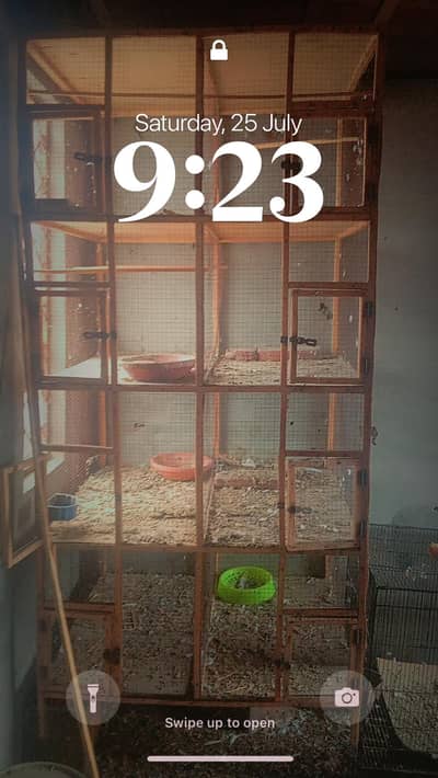 wooden cage