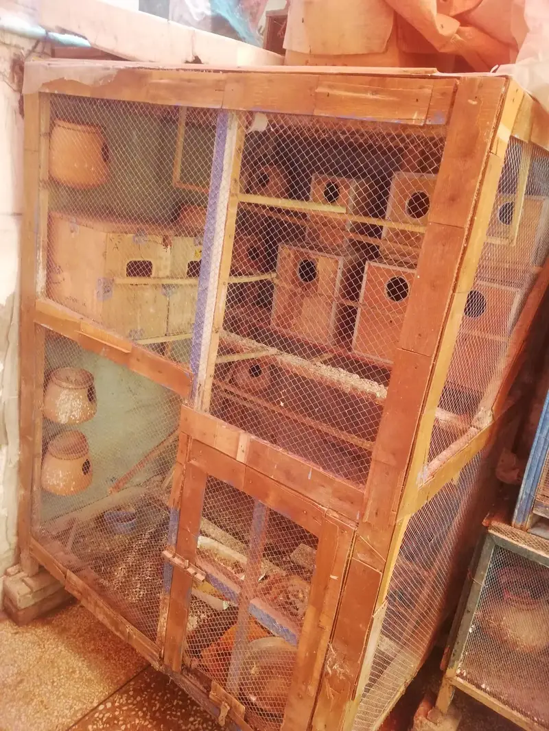 Cage. box matki. asssesres available — photo 2