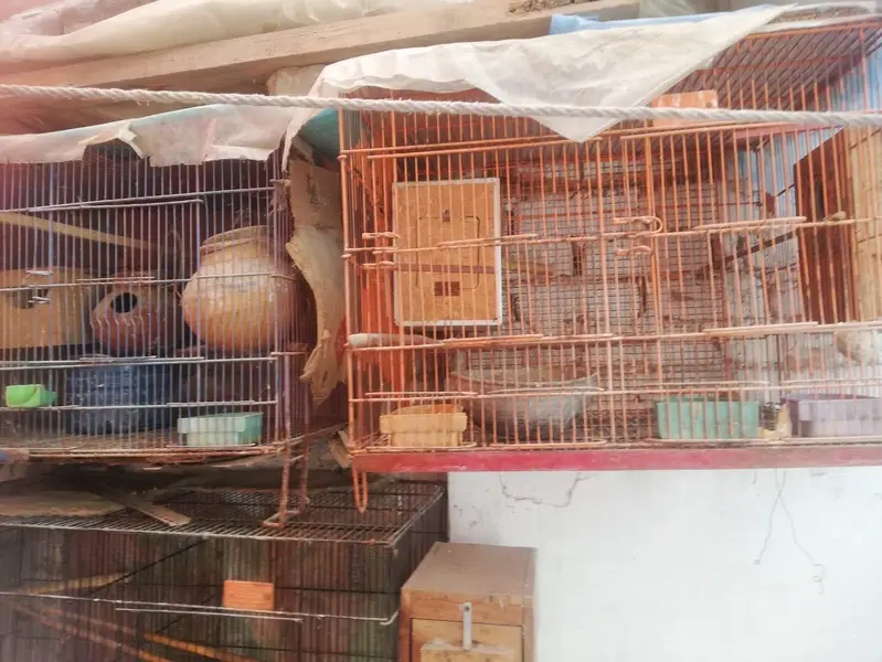 Cage. box matki. asssesres available — photo 3