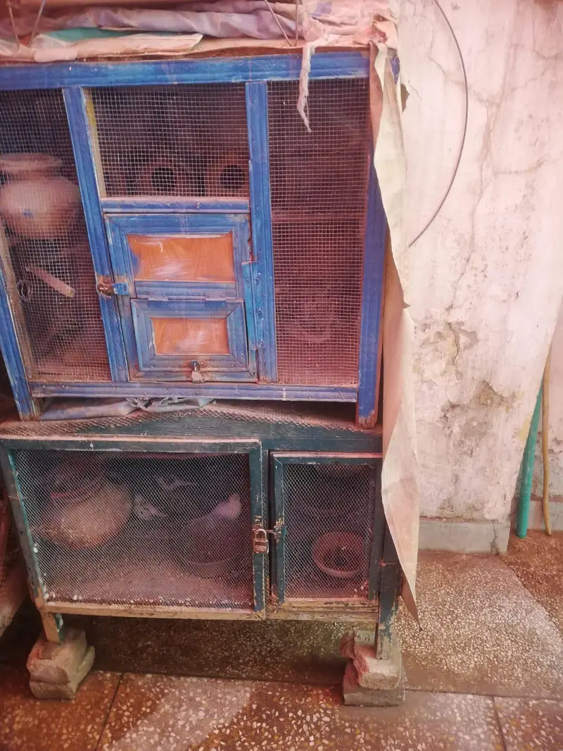 Cage. box matki. asssesres available — photo 4