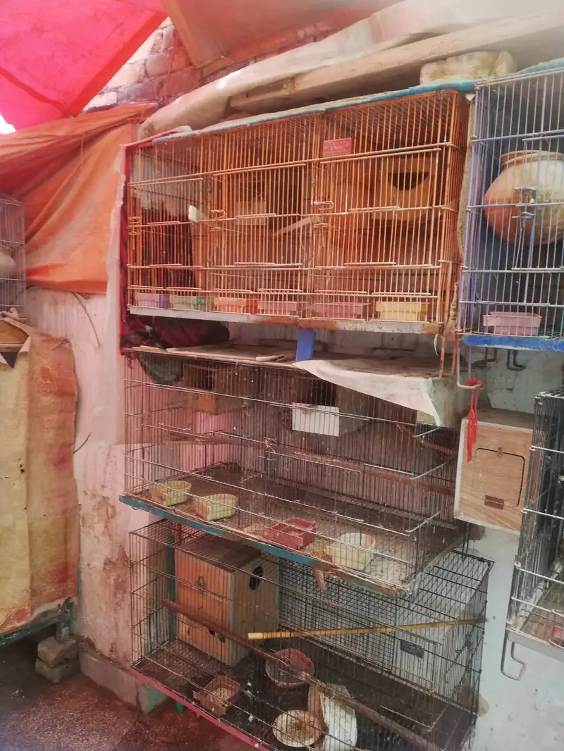 Cage. box matki. asssesres available — photo 5