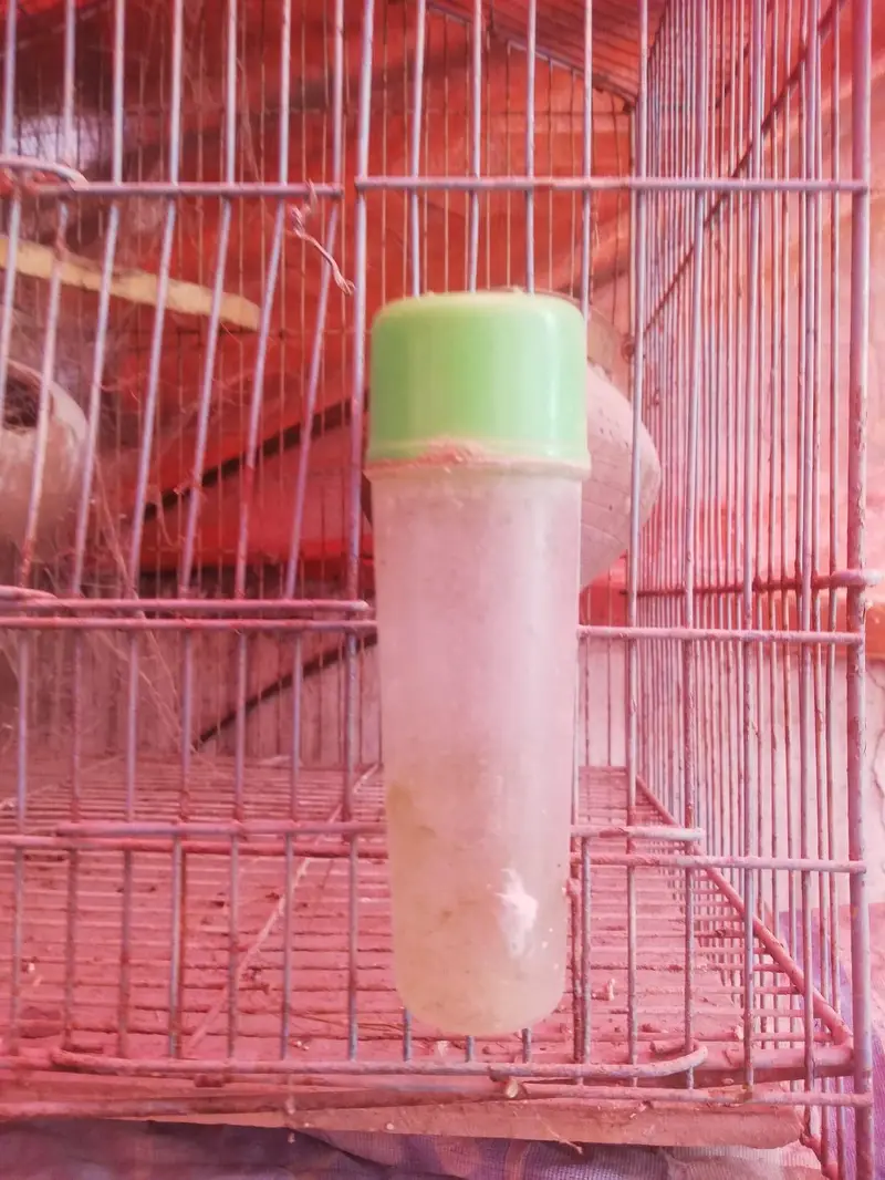 Cage. box matki. asssesres available — photo 7