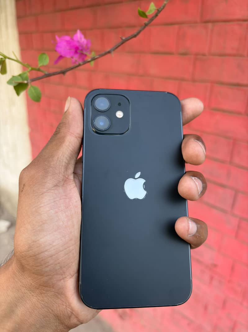 Apple iPhone 12 3