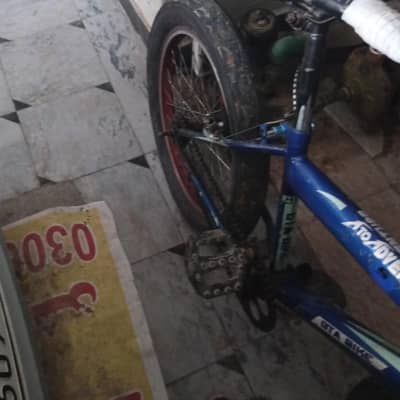 FAT BIKE