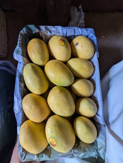 Best Quality Summer Chaunsa – Home Delivery