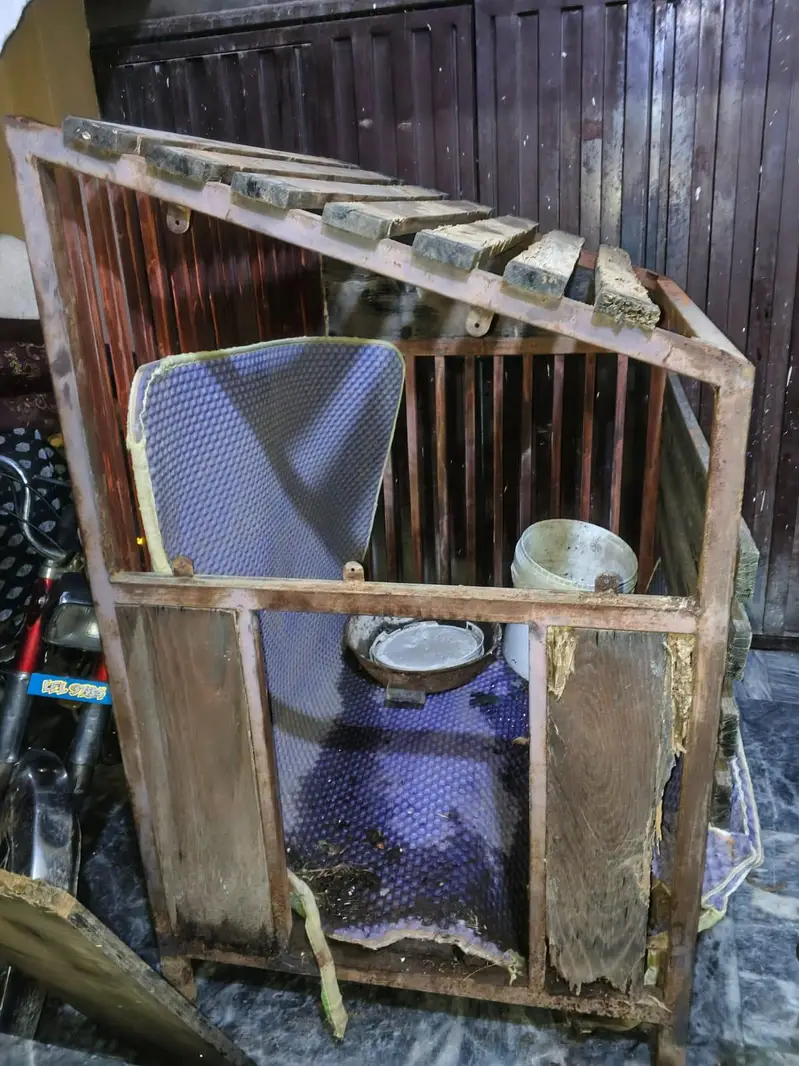 Dog Home — photo 2