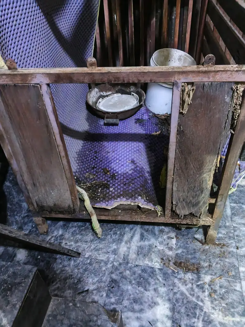 Dog Home — photo 5