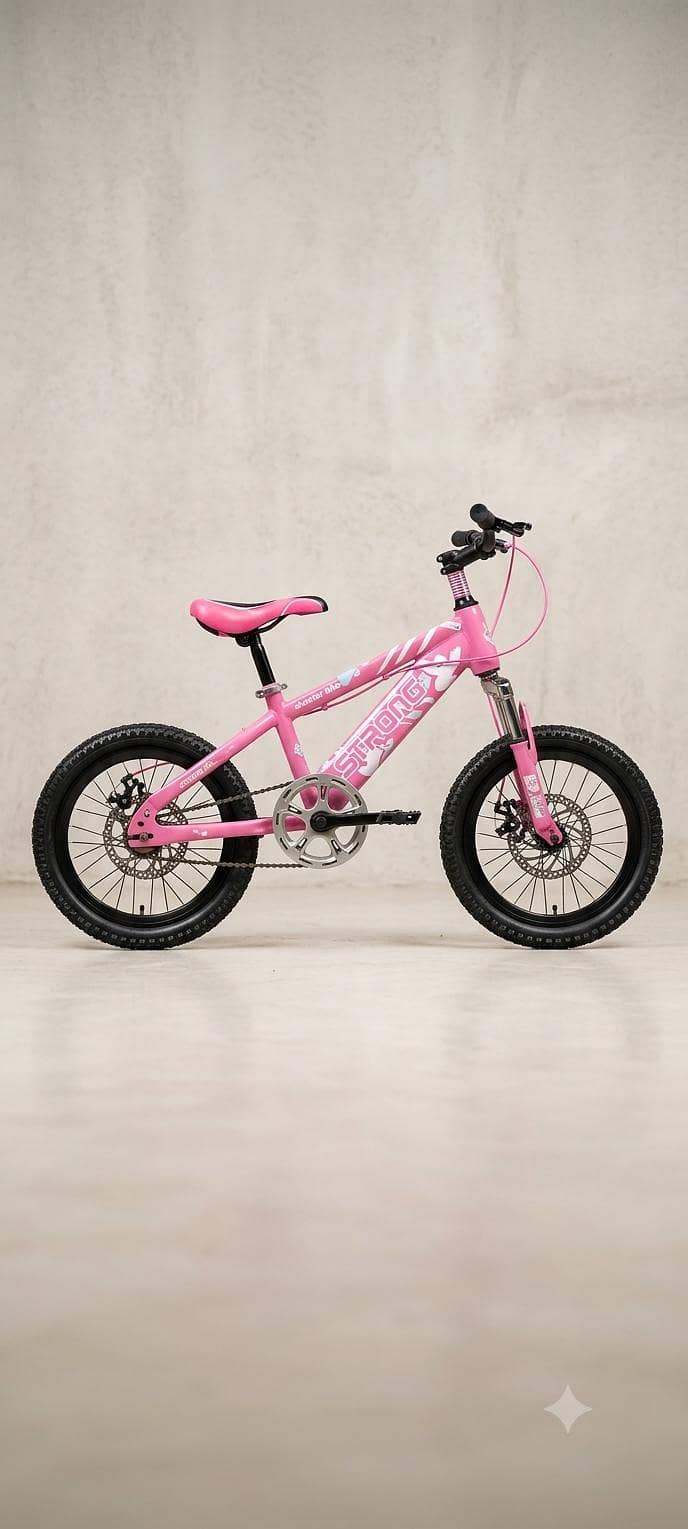 bicycle 0