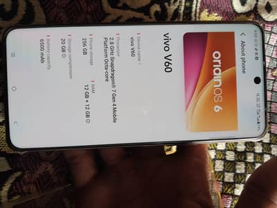 Vivo V60