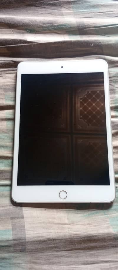 Ipad Mini 5 256GB