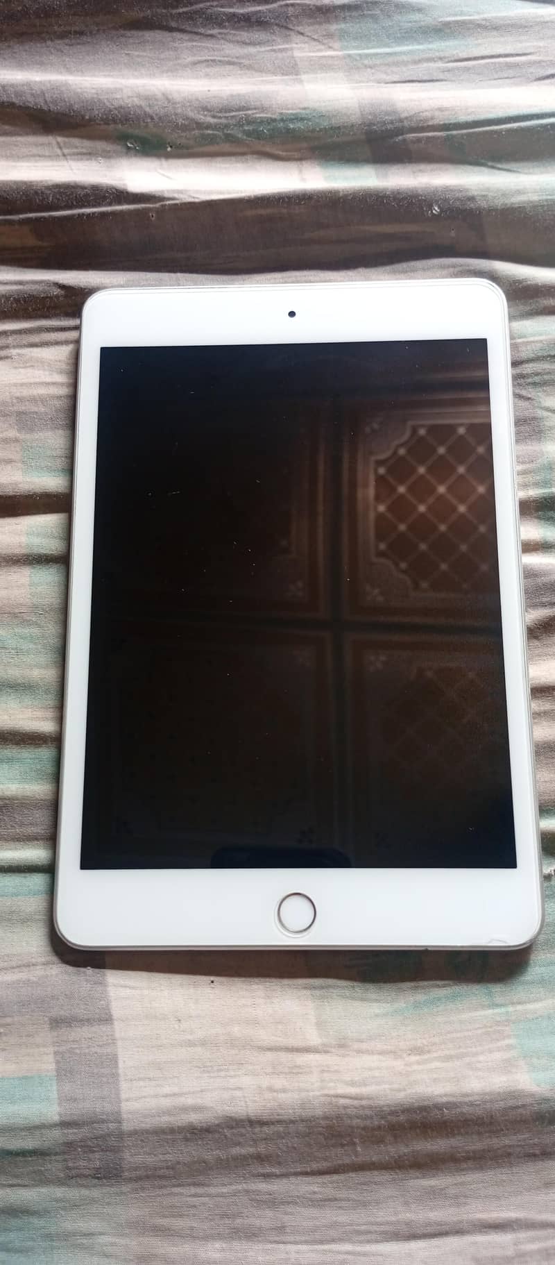 Ipad Mini 5 256GB 0