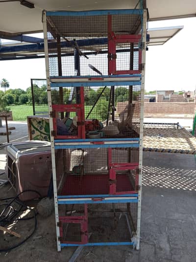 Birds Cage - Pinjra - 2 Cages