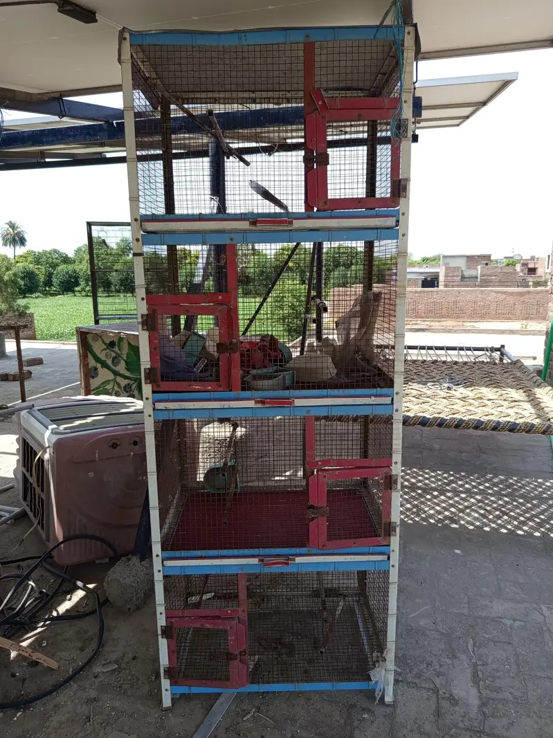 Birds Cage - Pinjra - 2 Cages