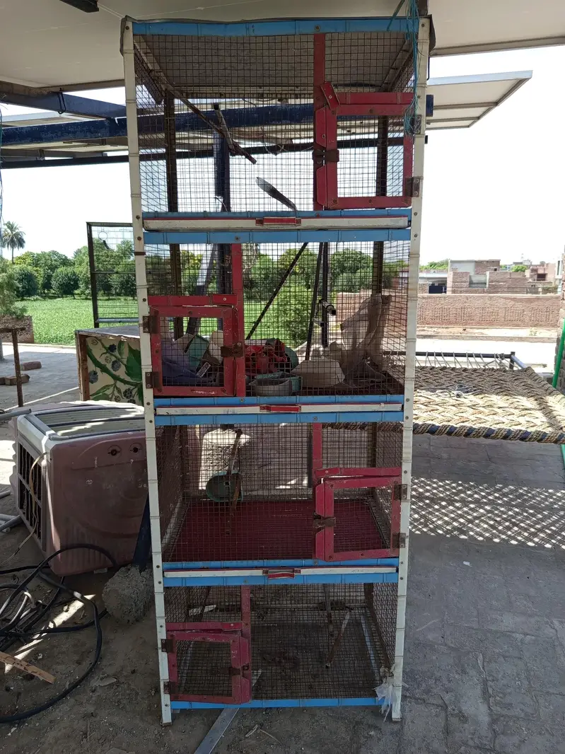 Birds Cage - Pinjra - 2 Cages — photo 2