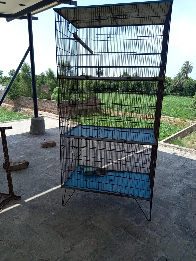Birds Cage - Pinjra - 2 Cages — photo 3