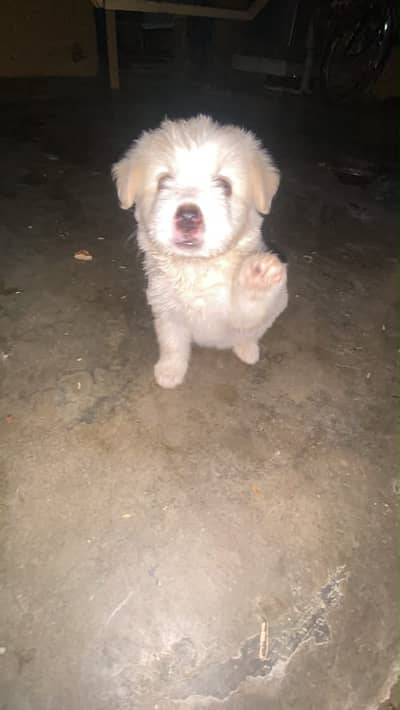 For sale