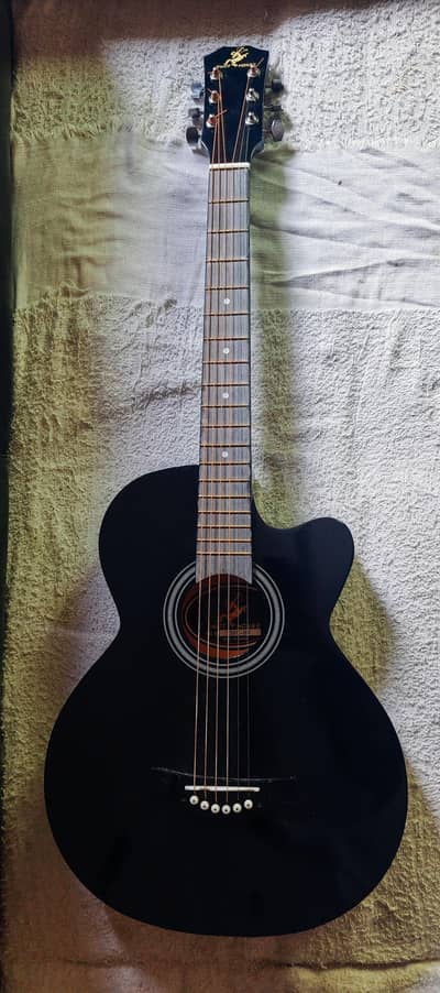 BRAND NEW ACOUSTIC GUITAR  read description