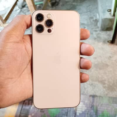 Apple iPhone 12 Pro Gold colour