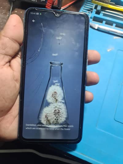 OPPO A12