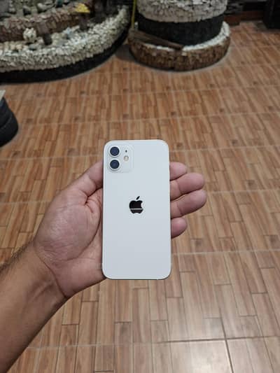 Apple iPhone 12 PTA Approved