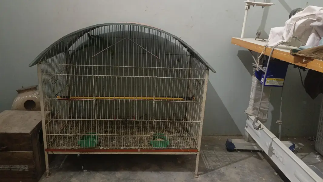 Ek poshan wala page — photo 5