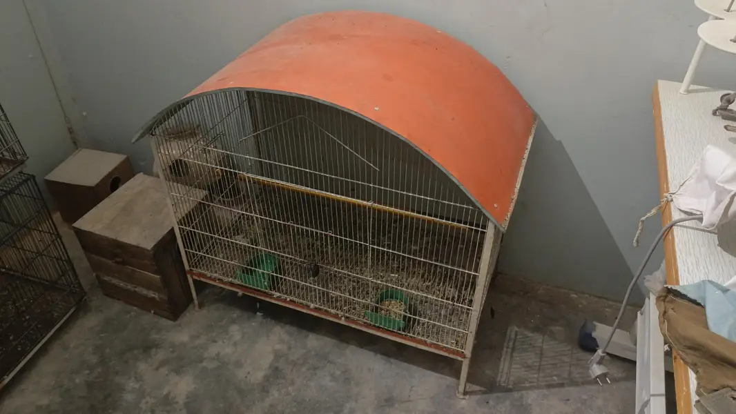 Ek poshan wala page — photo 7