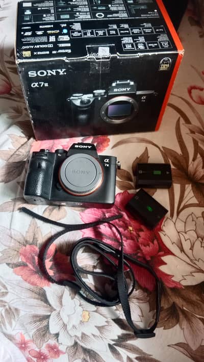 Sony A73 Full Frame 10/10