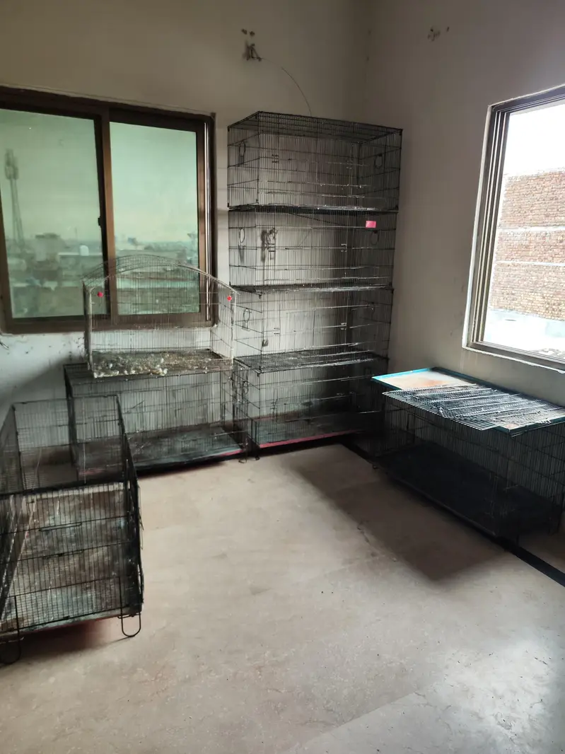 cage for. sale — photo 2