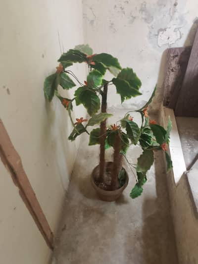 Artificial Plant with Pot - Used (Normal Condition)