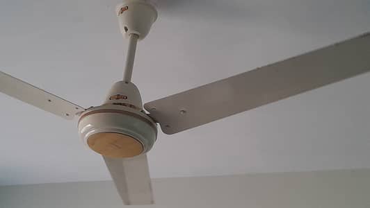 Super Asia Cieling Fan - 56 Inches