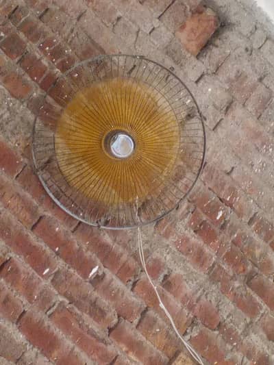 fan pro max