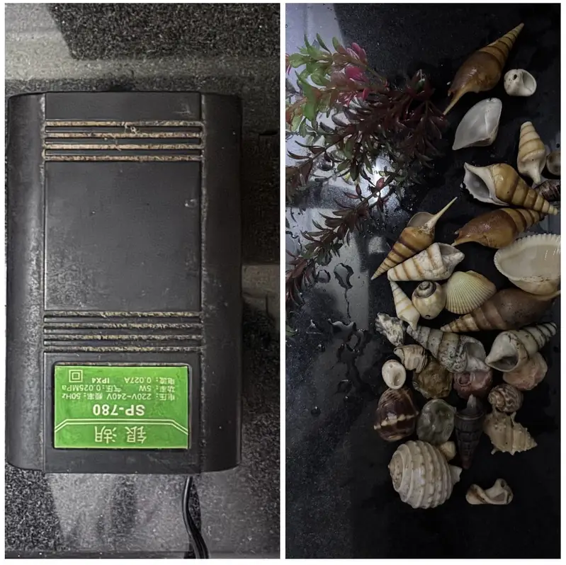 35×12×17 Aquarium + Complete Accessories — photo 6