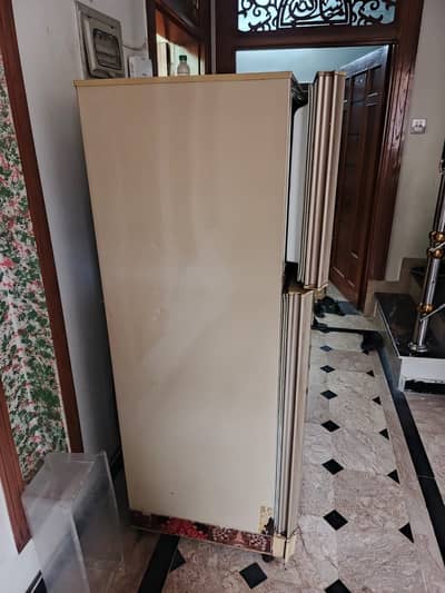 PEL FRIDGE FOR SALE